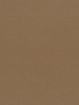 Scalamandre Luna Ii Dune Fabric