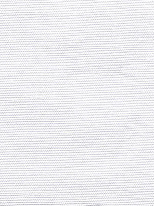 Scalamandre Beluna Swan Fabric