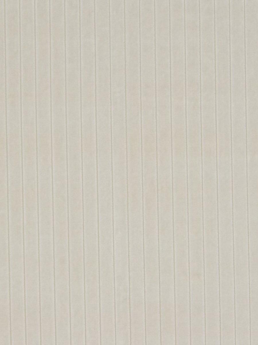 Scalamandre Velvet Stripe Snow Fabric