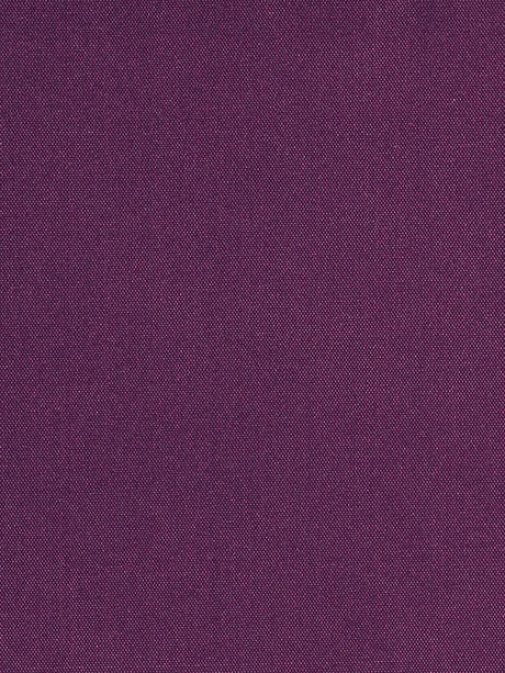 Scalamandre Siam Brandywine Fabric
