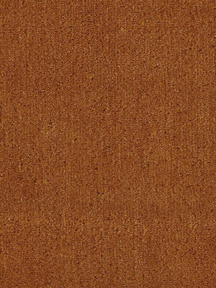 Scalamandre Apollodor Carrot Fabric