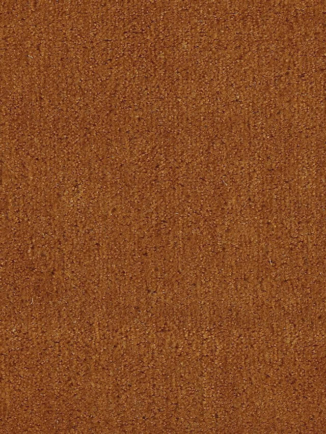 Scalamandre Apollodor Carrot Fabric