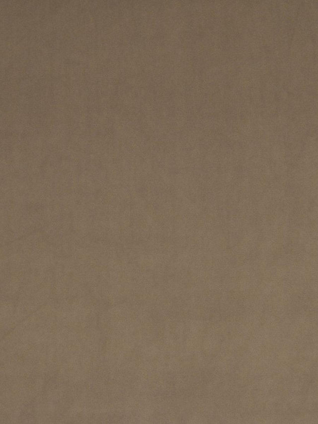 Scalamandre Vip Sahara Fabric