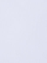 Scalamandre Aramena Swan Fabric