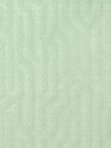 Scalamandre Tweeter Spa Blue Fabric