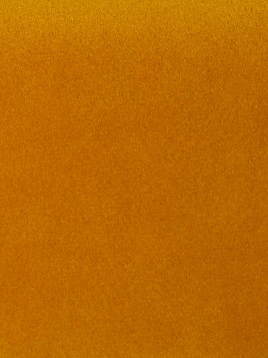 Scalamandre Safety Velvet Caril Fabric