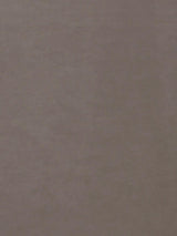 Scalamandre Project Water Repellent Light Gray Fabric