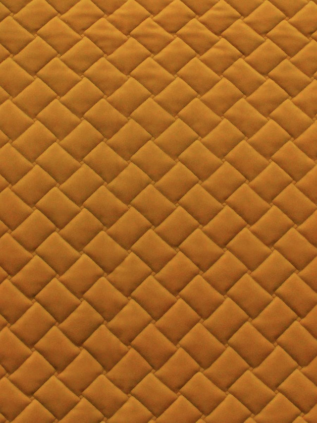 Scalamandre Project Form Water Repellent Curry Fabric