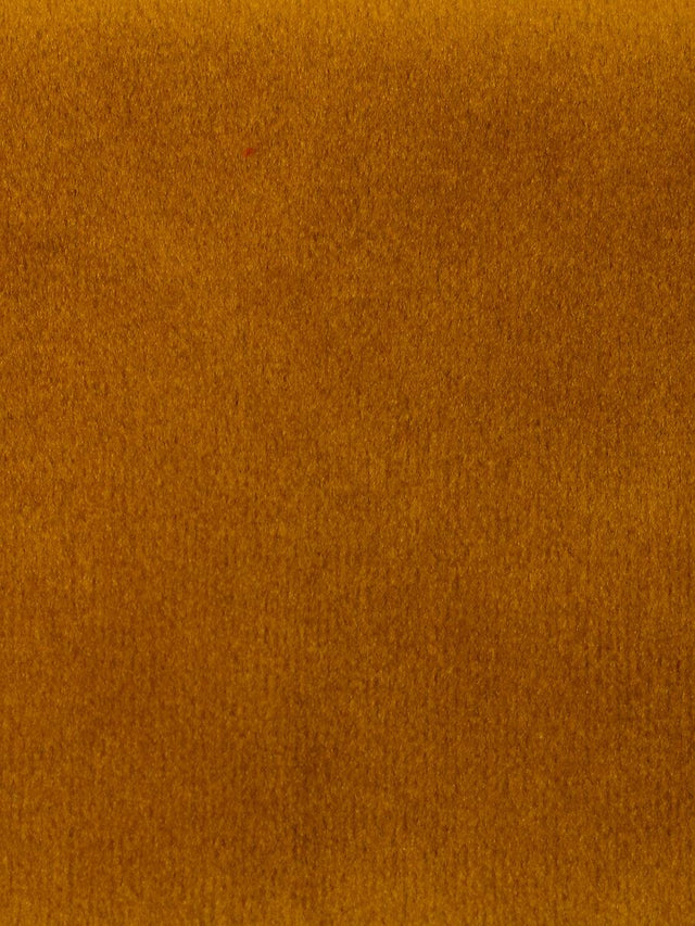 Scalamandre Safety Velvet Ambar Fabric