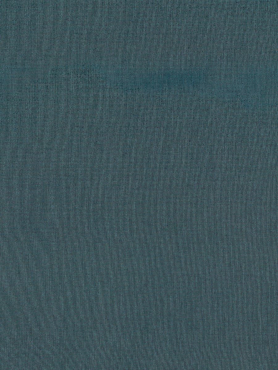 Scalamandre Sal Denim Mint Fabric