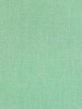 Scalamandre Sal Fresh Mint Fabric