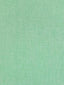 Scalamandre Sal Fresh Mint Fabric