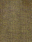 Scalamandre Tulu Breen Fabric