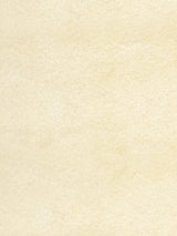 Scalamandre Sucesso | Wide Width Velvet Desert Sand Fabric