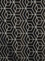 Scalamandre Hoopstar Coal Fabric