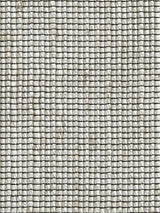 Scalamandre Seed Sheer Paglierino Fabric