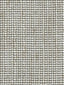 Scalamandre Seed Sheer Paglierino Fabric