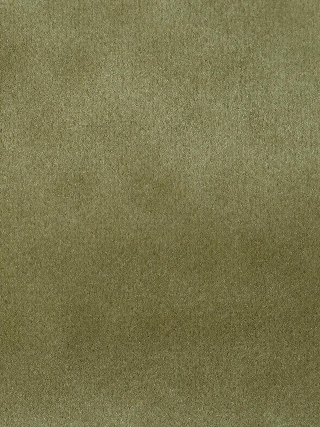 Scalamandre Safety Velvet Plaza Taupe Fabric