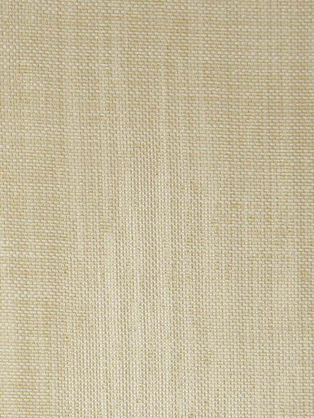 Scalamandre Smarter Fr Sesame Fabric