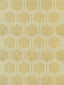Scalamandre Hexaddiction Sahara Sun Fabric