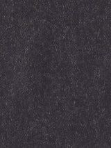 Scalamandre Polaris Onyx Fabric