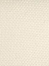 Scalamandre Tulu White Fabric