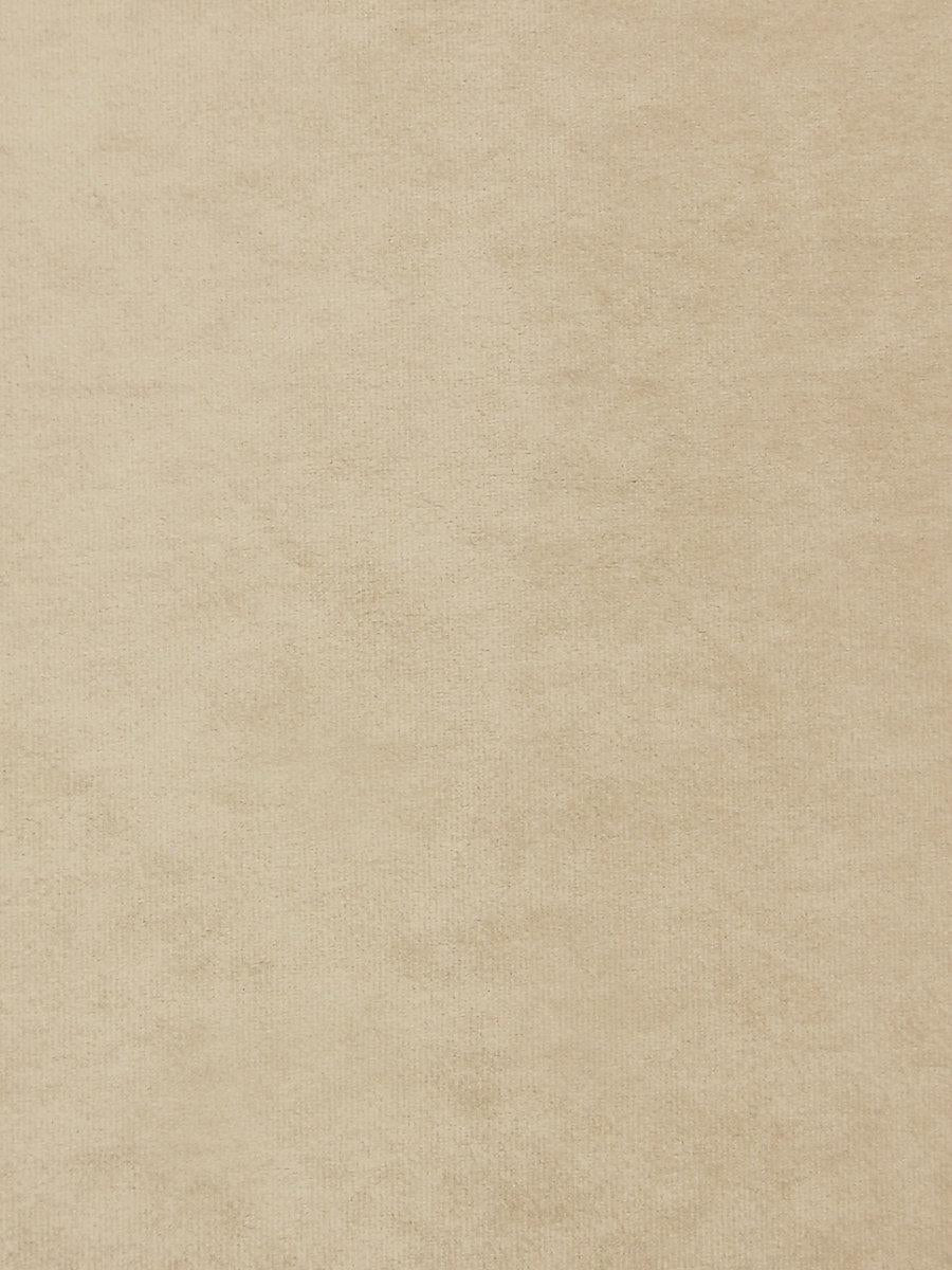 Scalamandre Project Water Repellent Ivory Fabric