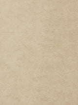 Scalamandre Project Water Repellent Ivory Fabric