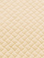 Scalamandre Project Form Water Repellent Ivory Fabric