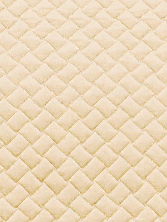 Scalamandre Project Form Water Repellent Ivory Fabric