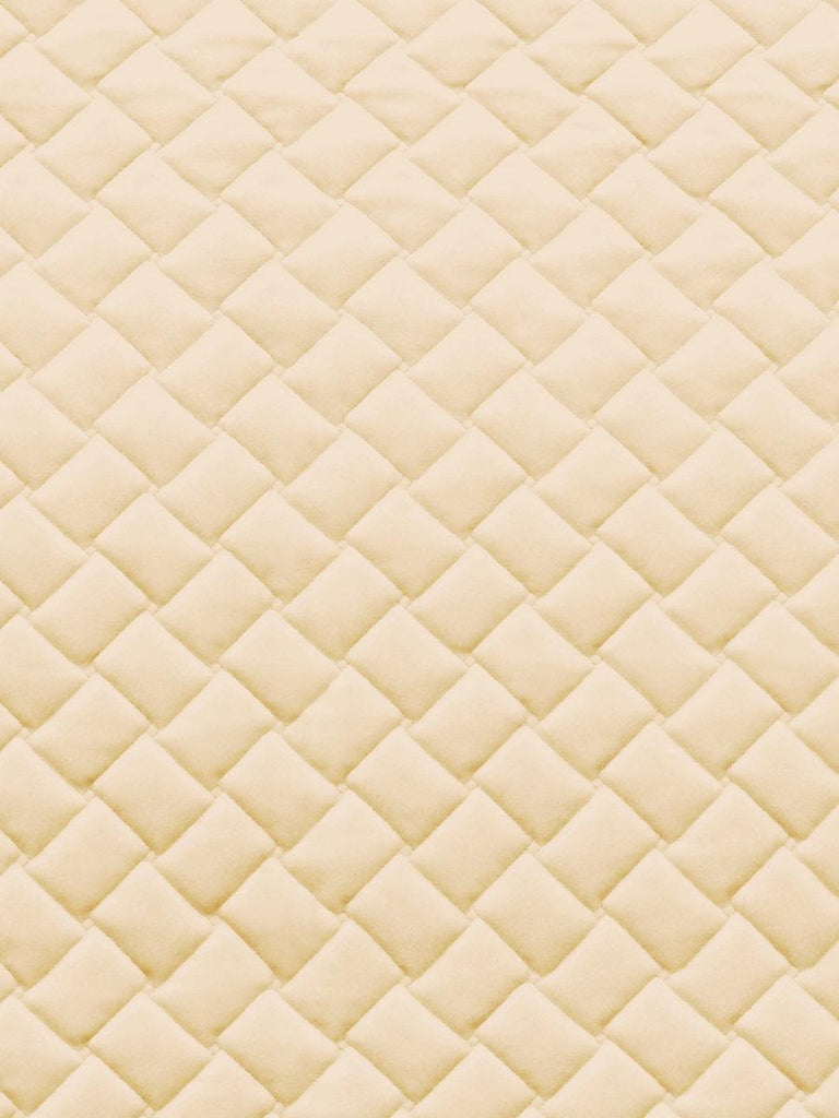 Aldeco PROJECT FORM WATER REPELLENT IVORY Fabric