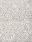 Scalamandre Leopard White Star Fabric