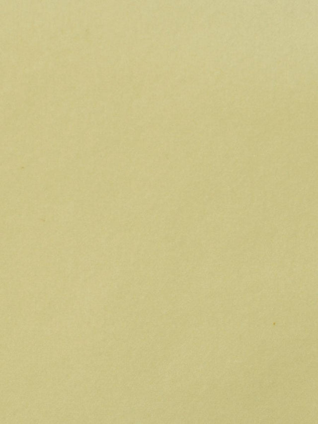 Scalamandre Safety Velvet Vanilla Fabric