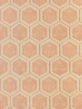 Scalamandre Hexaddiction Bubble Gum Fabric