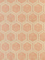 Scalamandre Hexaddiction Bubble Gum Fabric