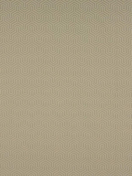Scalamandre Time Desert Sand Fabric