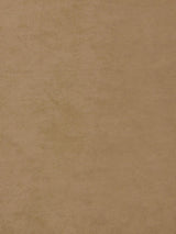 Scalamandre Project Water Repellent Beige Fabric