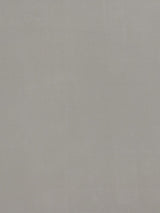 Scalamandre Bon Ton Silver Fabric