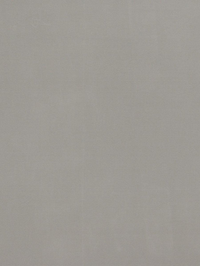 Scalamandre Bon Ton Silver Fabric