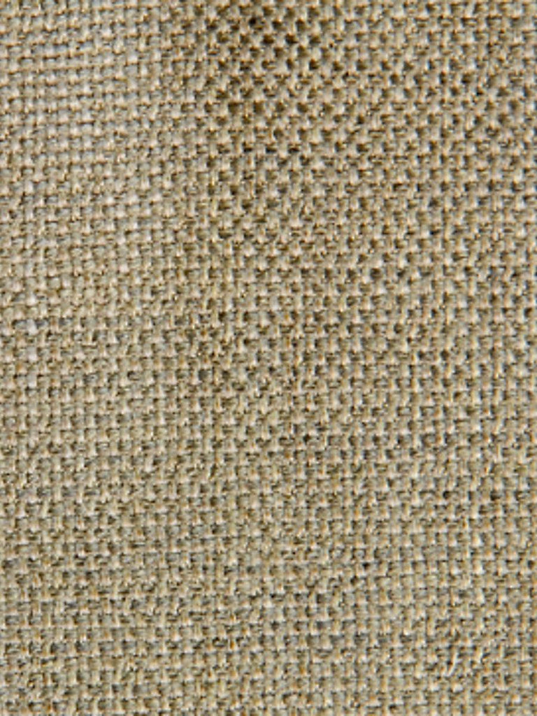 Aldeco Tulu Timber Wolf Fabric