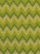 Scalamandre Blossom Amazon Green Fabric