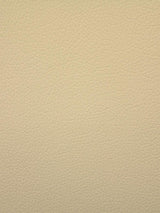 Scalamandre Storm Fr Creamy Fabric