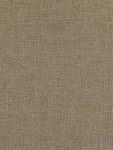 Scalamandre Sal Warm Taupe Fabric