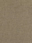 Scalamandre Sal Warm Taupe Fabric