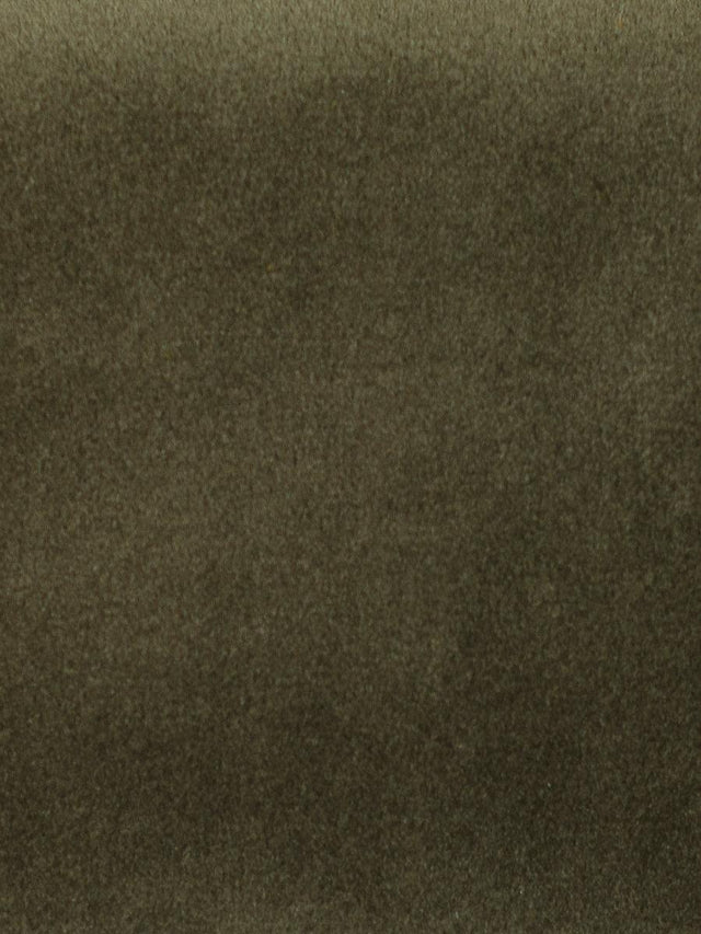 Scalamandre Safety Velvet Taupe Gray Fabric
