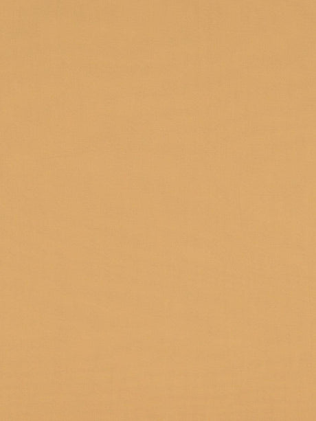 Scalamandre Madrid Cs Iv Melon Fabric