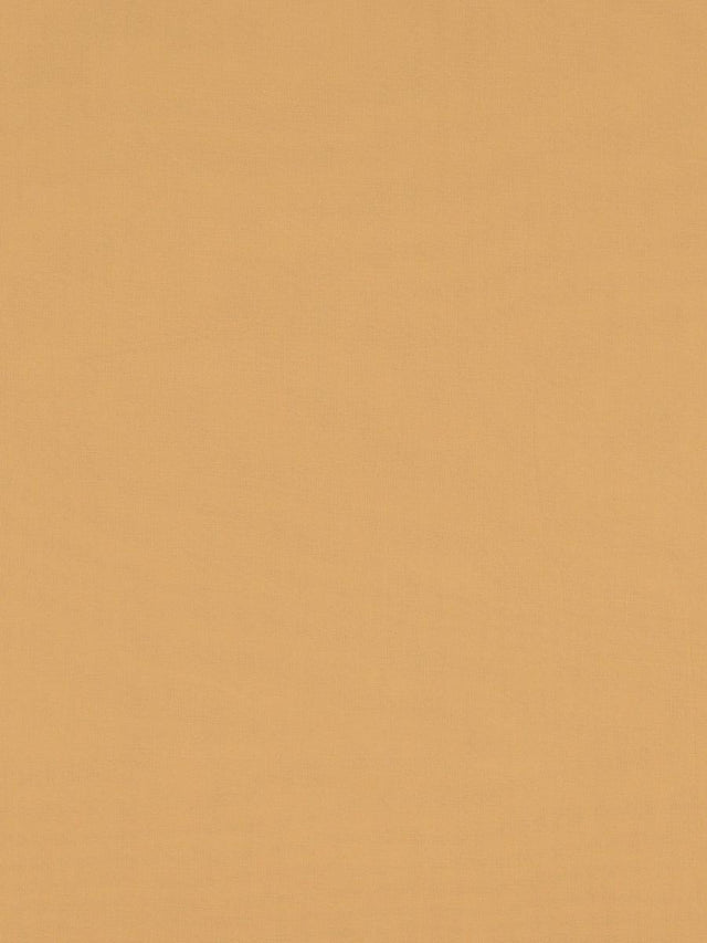 Scalamandre Madrid Cs Iv Melon Fabric