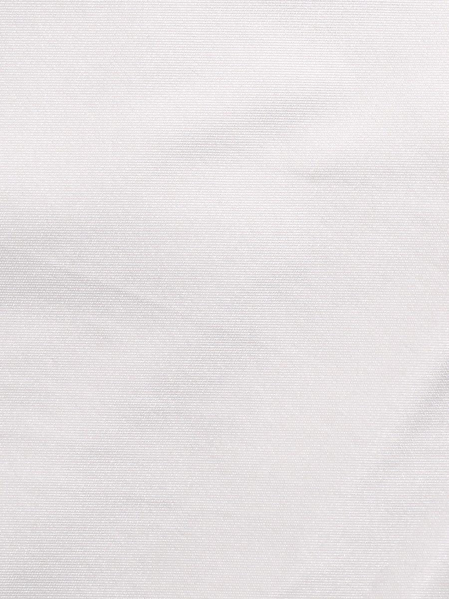 Scalamandre Taffeta Bs Platinum Fabric