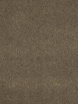 Scalamandre Apollodor Mink Fabric