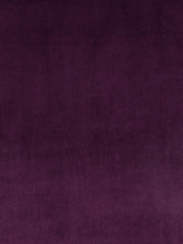 Scalamandre Vip Grape Fabric